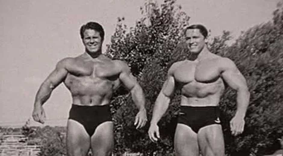 Meinhard-Schwarzenegger