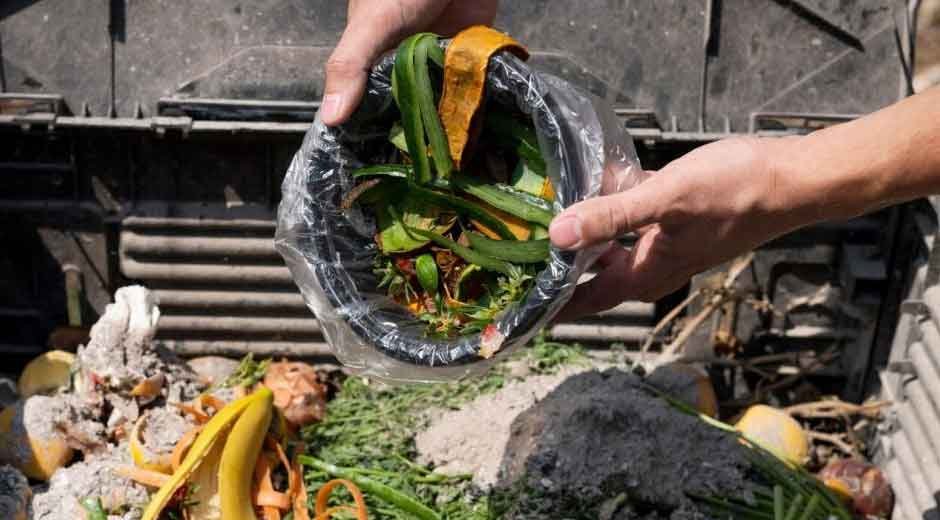 How to Dispose of Garden Waste Responsibly